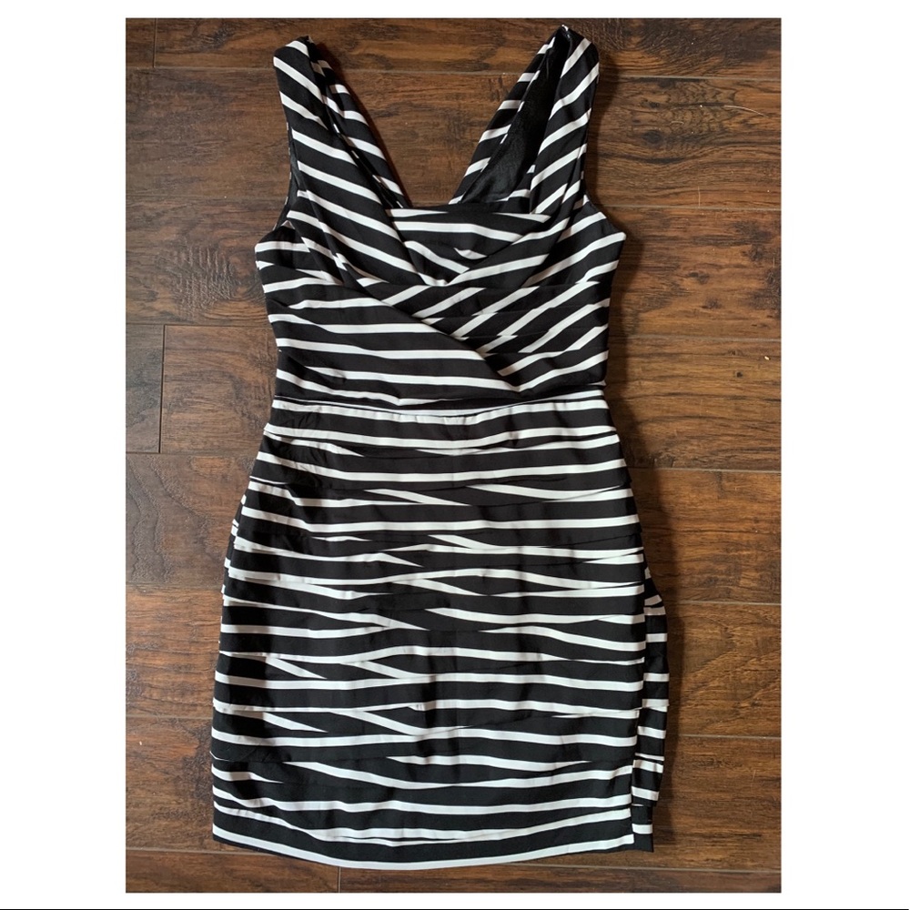 Express Striped Dress